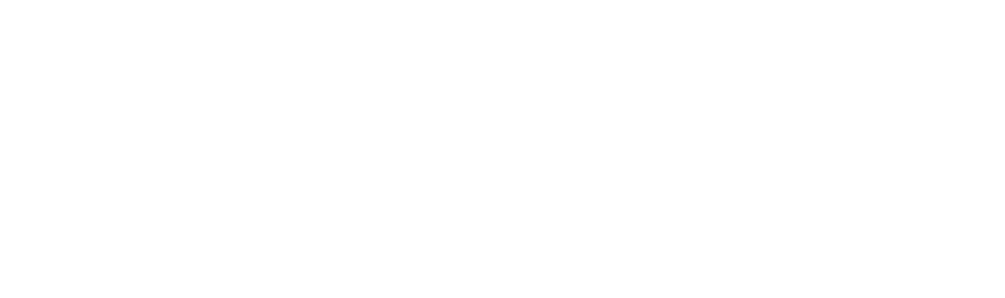 Genius Solutions